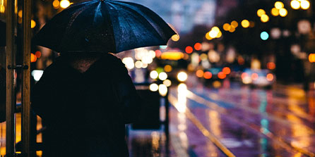 西悉尼流浪者主场优势明显，球迷期待逆转奇迹